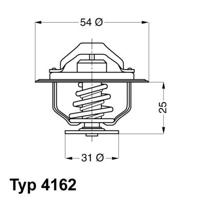 BorgWarner (Wahler) 4162.79D