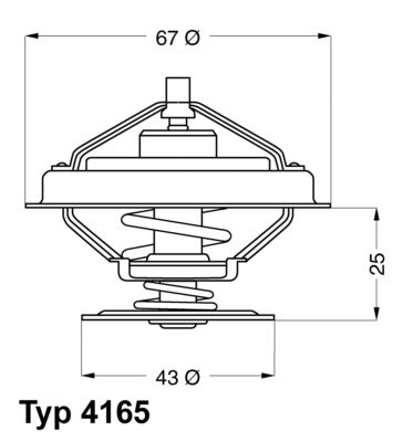 BorgWarner (Wahler) 4165.79D