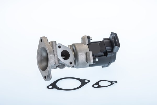 BorgWarner (Wahler) 710976R