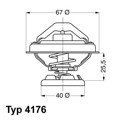 BorgWarner (Wahler) 4176.80D