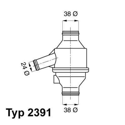 BorgWarner (Wahler) 2391.75