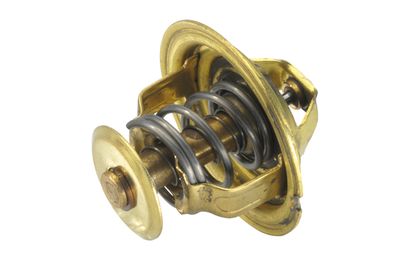 BorgWarner (Wahler) 4026.89