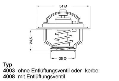 BorgWarner (Wahler) 4003.86