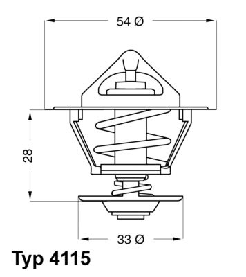 BorgWarner (Wahler) 4115.92D