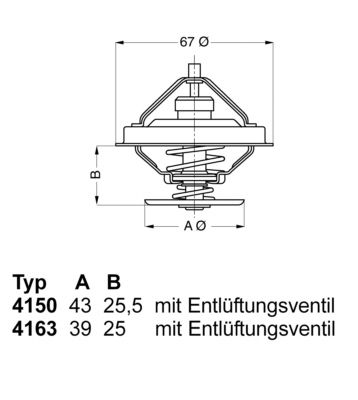 BorgWarner (Wahler) 4163.79D