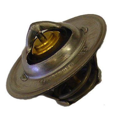 BorgWarner (Wahler) 3167.83D