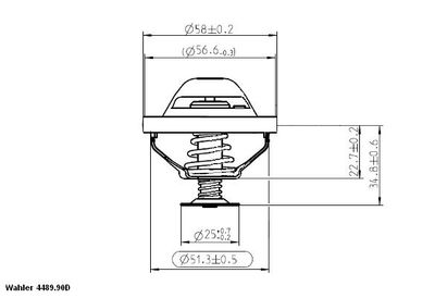 BorgWarner (Wahler) 4489.90D