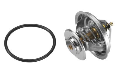 BorgWarner (Wahler) 410571D BorgWarner (Wahler) 410571D