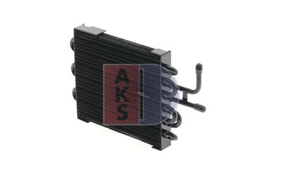 AKS DASIS 120013N