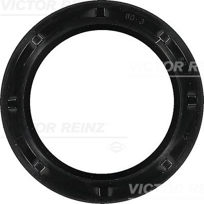 VICTOR REINZ 81-10001-00 VICTOR REINZ 81-10001-00