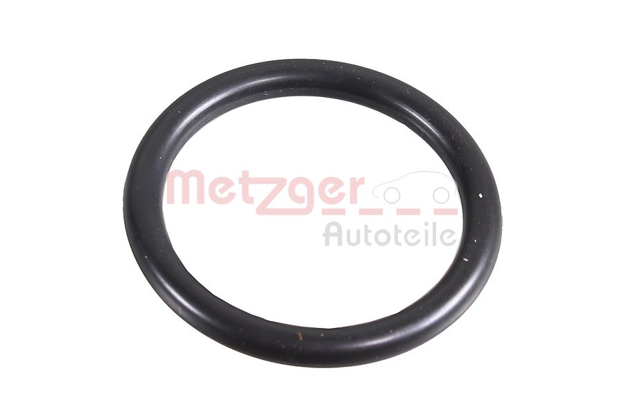 METZGER 2430045