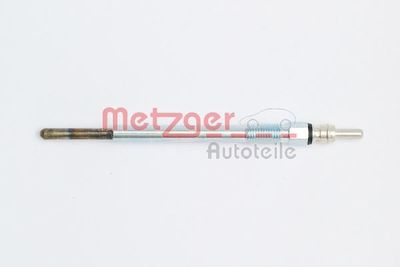 METZGER H1 166