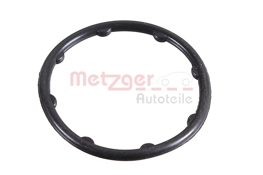 METZGER 2430111