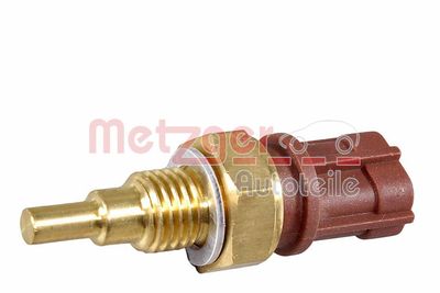 METZGER 0905276