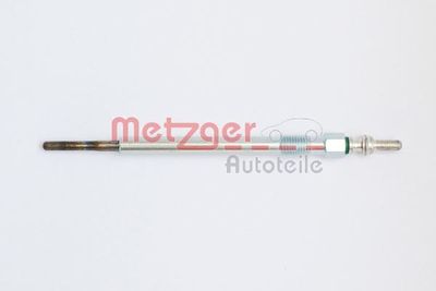 METZGER H1 395