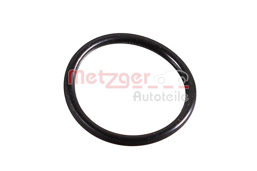 METZGER 2430095 METZGER 2430095