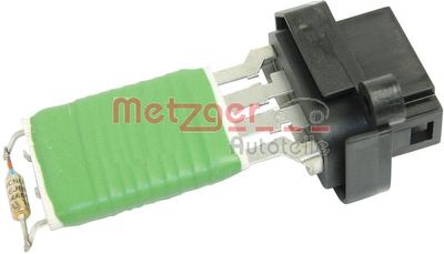 METZGER 0917289