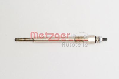 METZGER H1 795