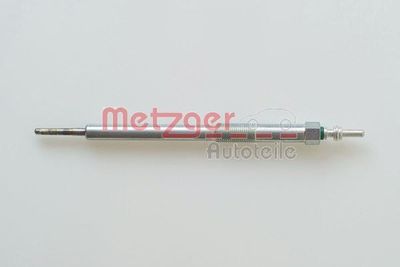 METZGER H5 017