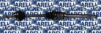 MAGNETI MARELLI 302004190056