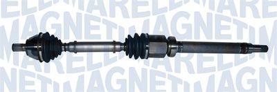 MAGNETI MARELLI 302004190170